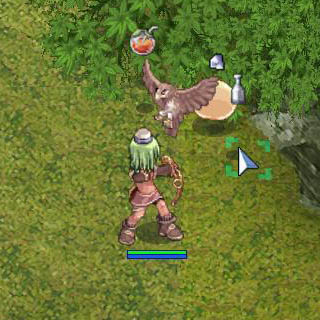 �ɥ��åץ��༣����ɾ�Τ���ϥ󥿡�̼